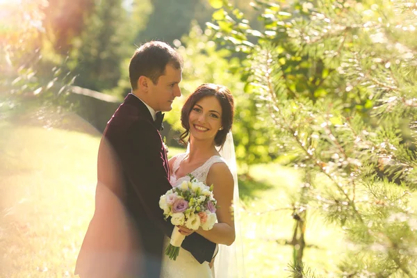 Mooie bruidegom en bruid buiten bedrijf — Stockfoto