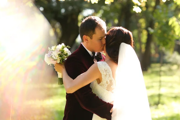 Härlig brudgummen och bruden kyssas och hålla utanför — Stockfoto