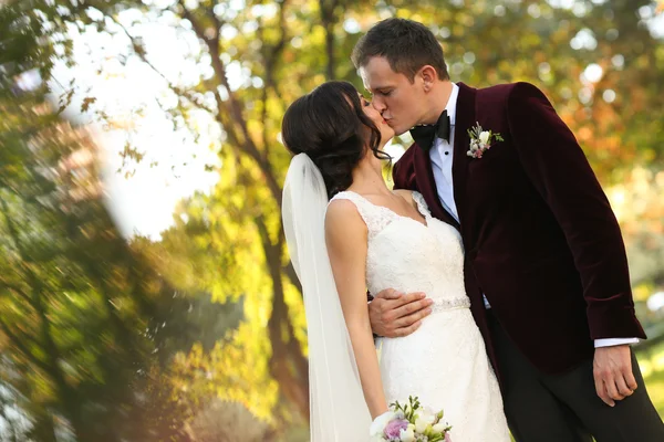 Lovely groom and bride kissing and holding outside — Stock Photo, Image