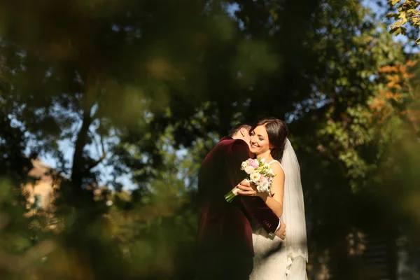 Lovely groom and bride kissing and holding outside — Stock Photo, Image