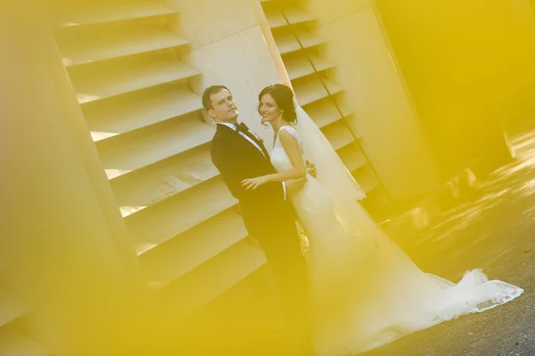 Lovely groom and bride holding outside — Stock Photo, Image