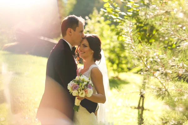 Lovely groom and bride kissing and holding outside — Stock Photo, Image