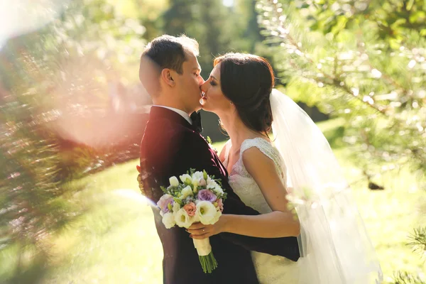 Lovely groom and bride kissing and holding outside Stock Picture