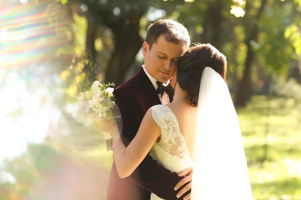 Adorável noivo e noiva beijando e segurando fora — Fotografia de Stock