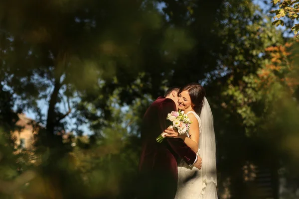 Lovely groom and bride kissing and holding outside — Stock Photo, Image