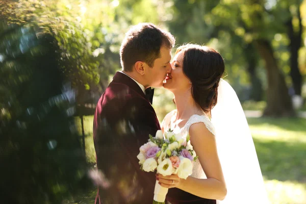 Lovely groom and bride kissing and holding outside — Stock Photo, Image