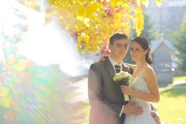 Gelin ve damat parkta poz veriyorlar. — Stok fotoğraf