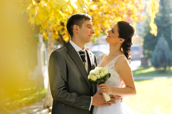 Bride and groom  posing in the park — Stock Photo, Image