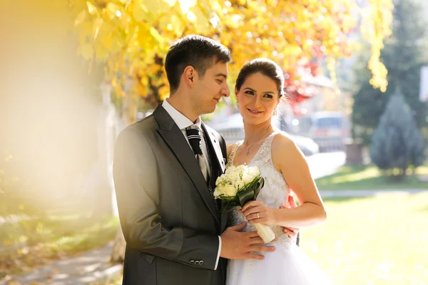 Bride and groom posing in the park — Stock Photo, Image
