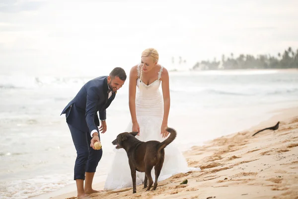 Sposo e sposa che giocano sulla spiaggia — Foto Stock