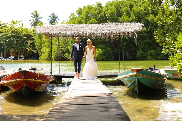 Невеста и жених позируют на тропическом острове — стоковое фото