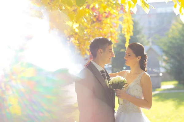 Gelin ve damat parkta poz veriyorlar. — Stok fotoğraf