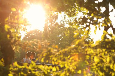 Gelin ve damadın bankta oturan Backview