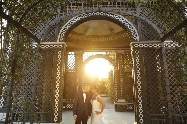 Gyönyörű esküvői pár átfogó alkonyatkor a napfény — Stock Fotó