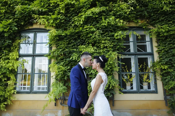 Vackra brudparet embracing — Stockfoto