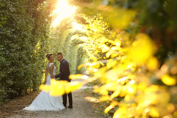 Beautiful bridal couple embracing in sunlight — Stock Photo, Image