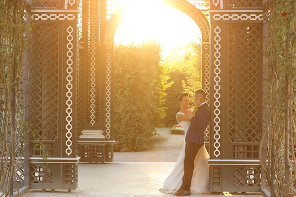 Beautiful bridal couple embracing in sunlight — Stock Photo, Image