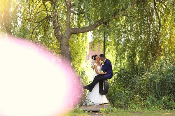 美丽的新婚夫妇，在秋千上玩乐 — 图库照片