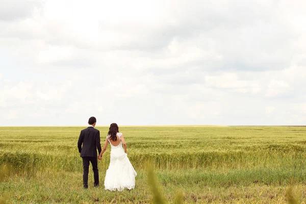 Bride and groom posing in the fields — Stock Photo, Image