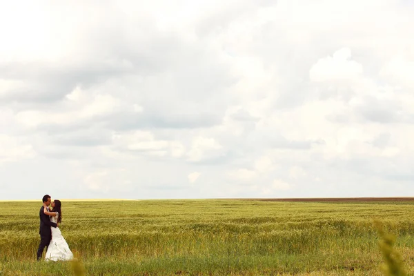 Bride and Groom posing in the fields — Stock Photo, Image