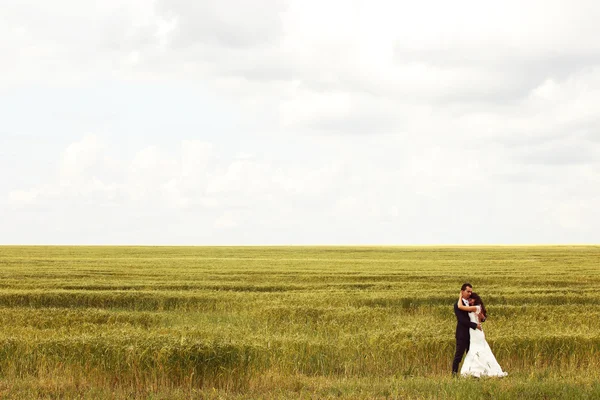 Bride and Groom posing in the fields — Stock Photo, Image