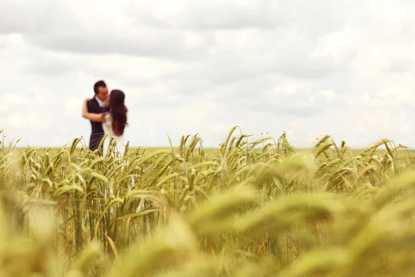 Sposa e sposo in posa nei campi — Foto Stock