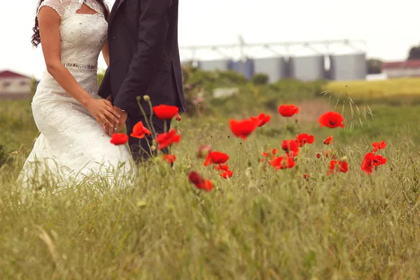 Novia y novio posando en los campos — Foto de Stock