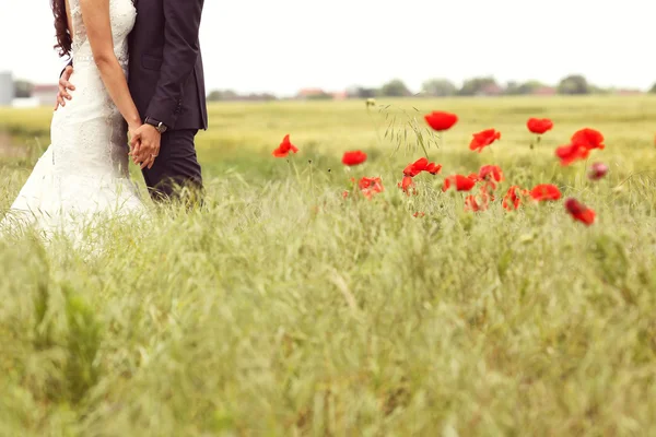 Bräutigam und Braut feiern Hochzeitstag — Stockfoto