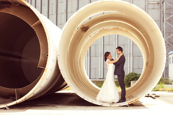 Brudgummen och bruden firar bröllopsdag — Stockfoto