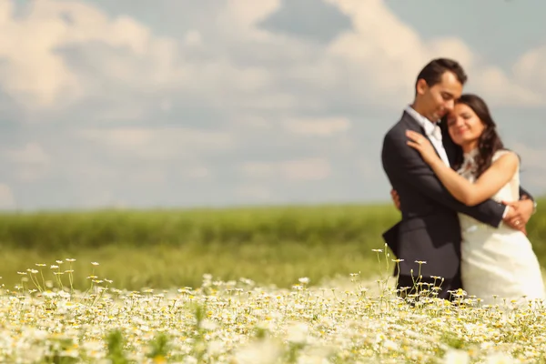 Novia y novio posando en los campos — Foto de Stock