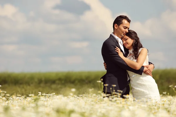 Bride and Groom posing in the fields — Stock Photo, Image