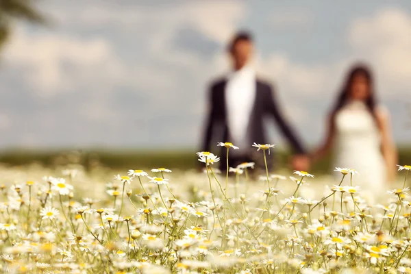 Bruden och brudgummen poserar i fälten — Stockfoto
