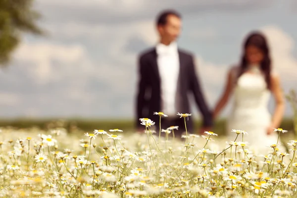 Bride and Groom posing in the fields — Stock Photo, Image