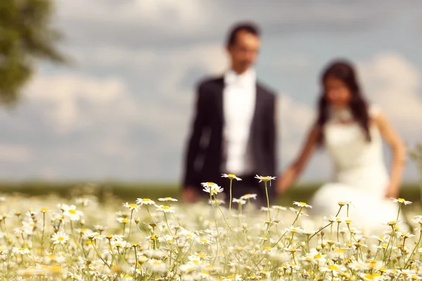 Novia y novio posando en los campos —  Fotos de Stock