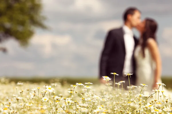 Bride and Groom posing in the fields — Stock Photo, Image