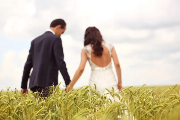 Bride and groom posing in the fields — Stock Photo, Image