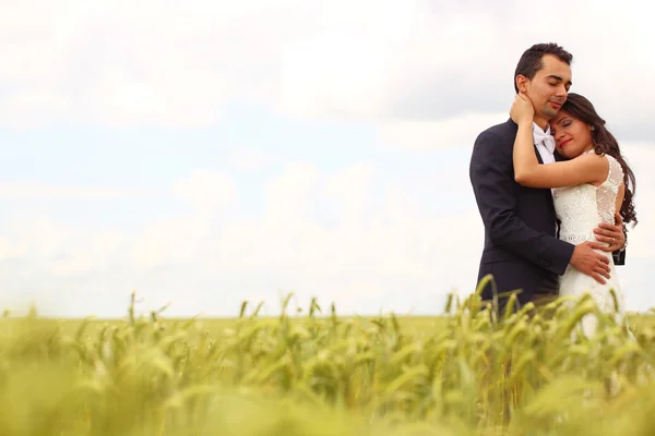 Mariée et marié posant dans les champs — Photo