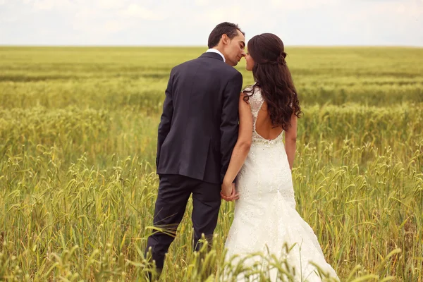 Mariée et marié posant dans les champs — Photo