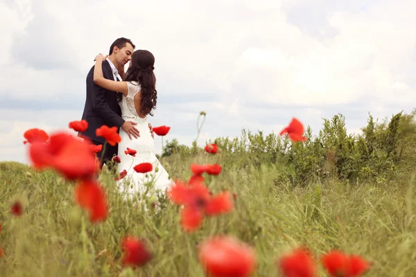 Mariée et marié posant dans les champs de pavot — Photo