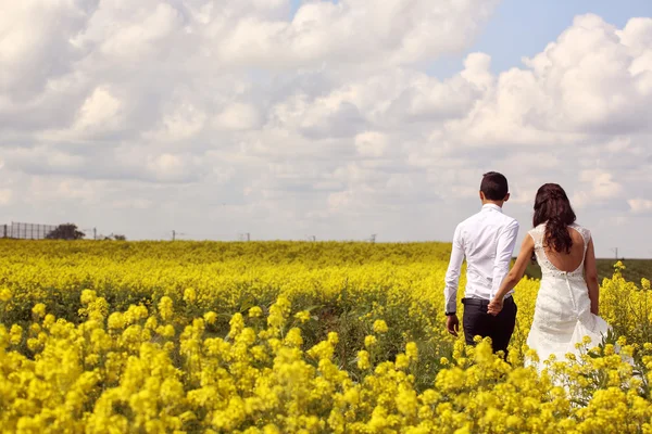 Novia y novio posando en los campos — Foto de Stock