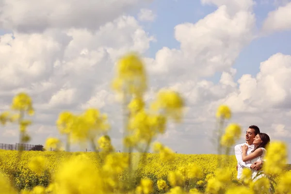 Novia y novio posando en los campos — Foto de Stock