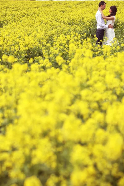 Bride and groom posing in the fields — Stock Photo, Image
