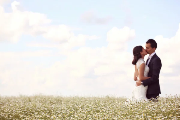 Novia y novio posando en los campos — Foto de Stock