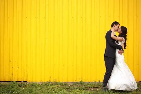 Bride and groom kissing against yellow wall — Stock Photo, Image