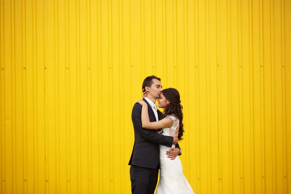 Brudparet kysser mot gul vägg — Stockfoto