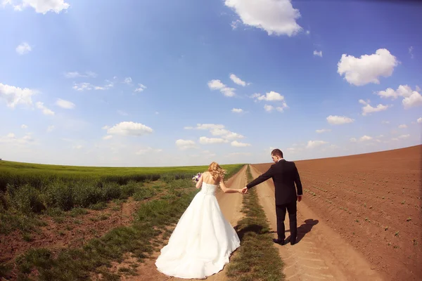 Novia y novio divirtiéndose en los campos — Foto de Stock