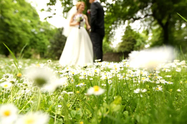 Bride and groom on their wedding day — Stock Photo, Image