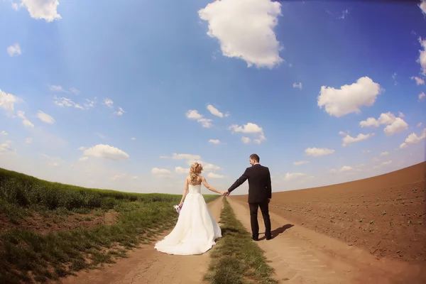 Nevěsta a ženich baví v polích — Stock fotografie