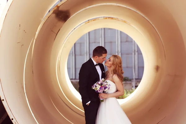 Bruden och brudgummen poserar på arkitektoniska bakgrund — Stockfoto