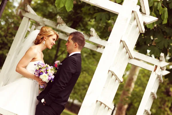 Novia y novio en el día de su boda — Foto de Stock